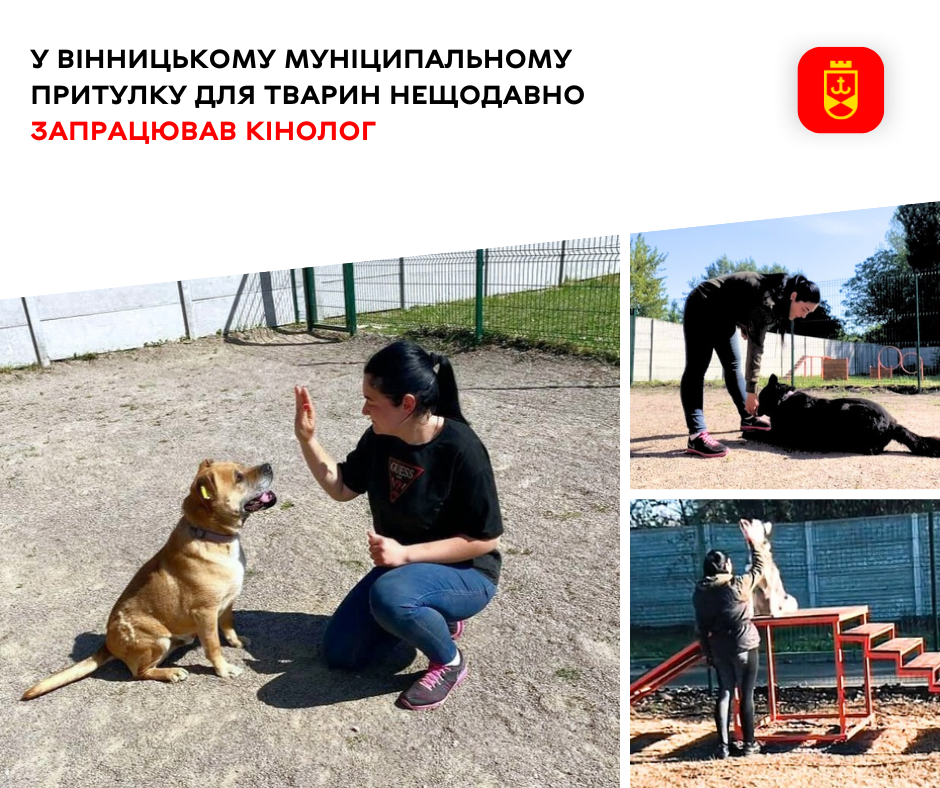 У Вінницькому муніципальному притулку для тварин нещодавно запрацювала кінологиня
